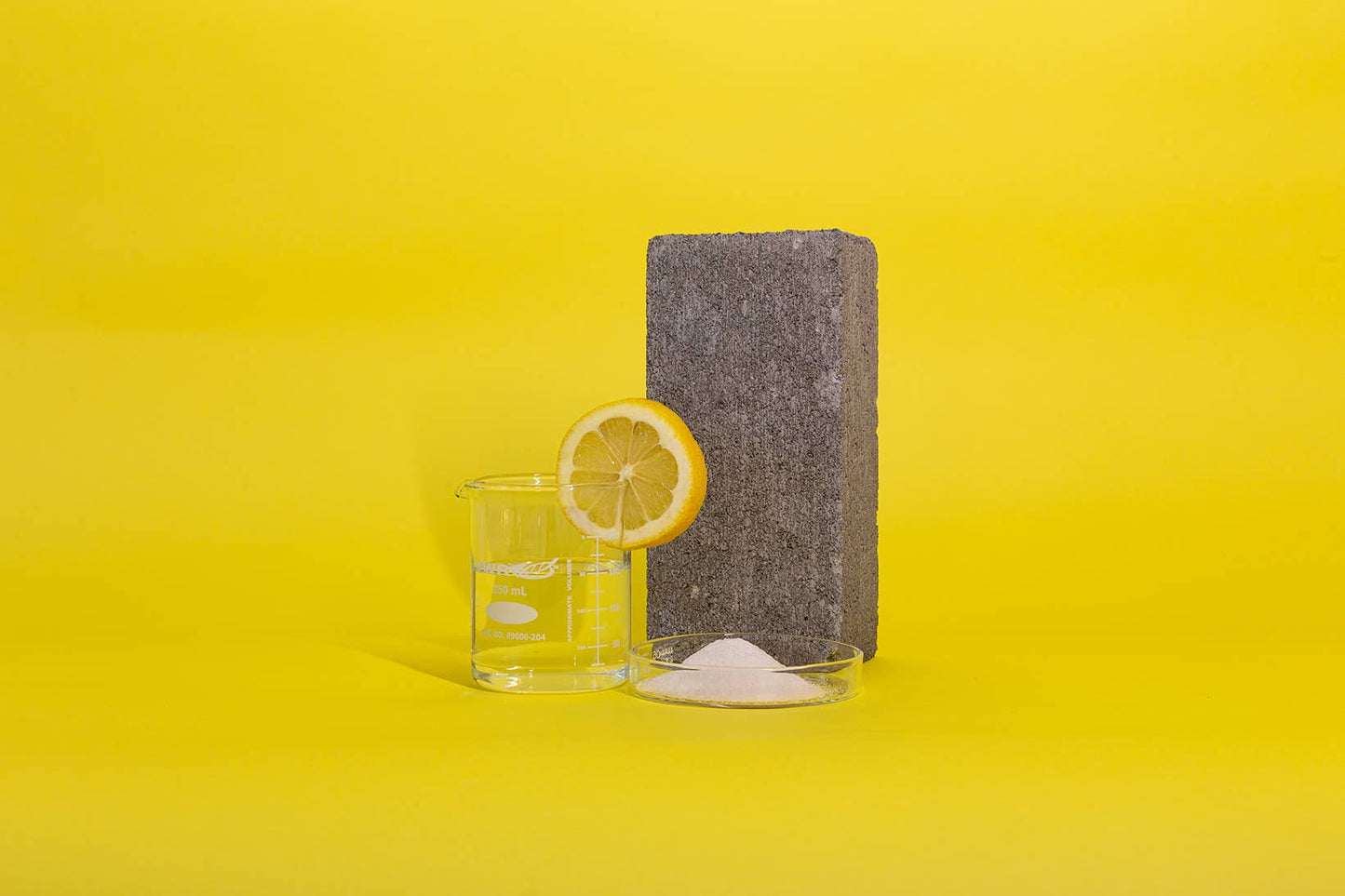 Taste Plants // Orange Cardamom Mints