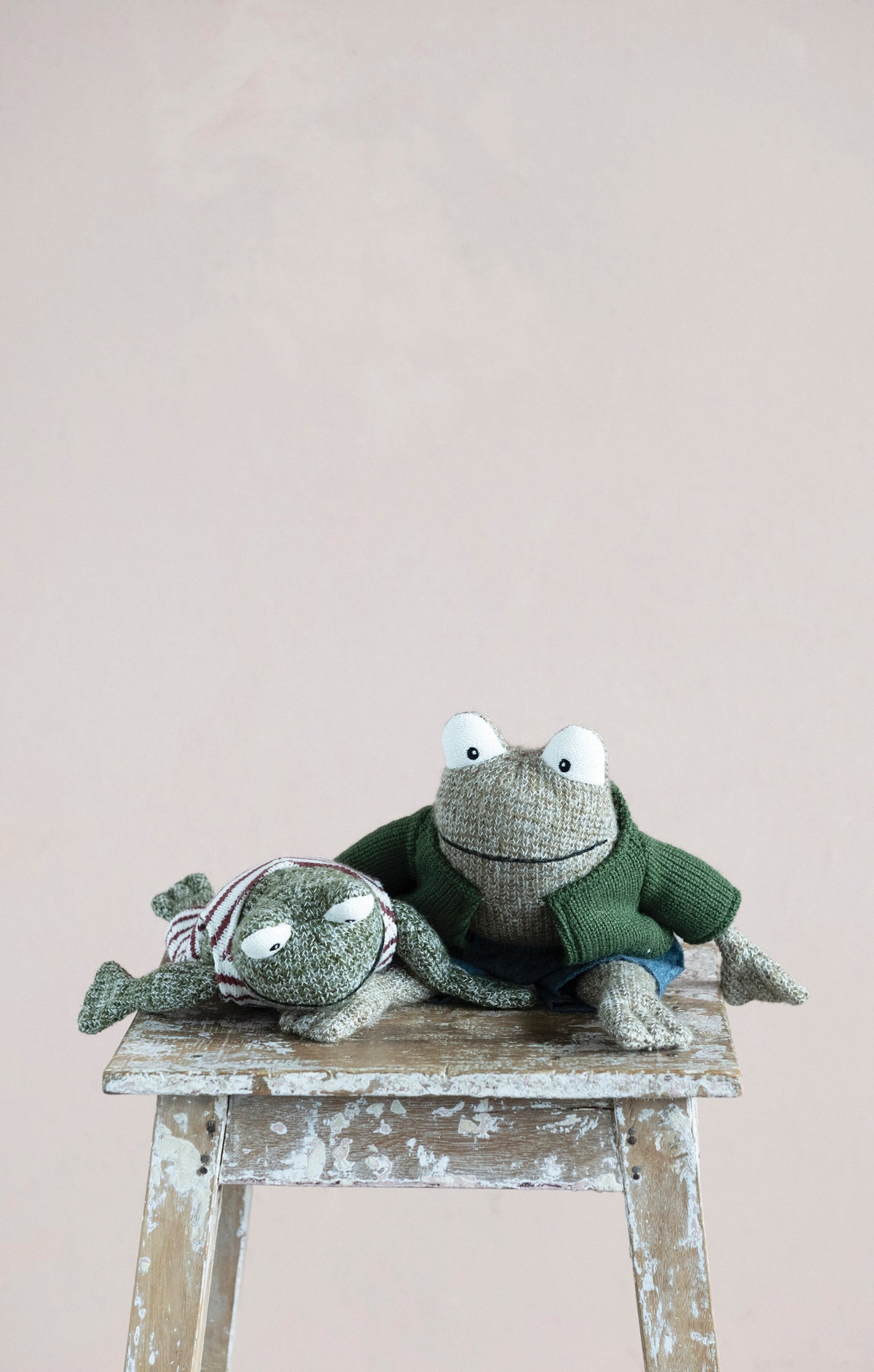 Frog in Shirt and Shorts