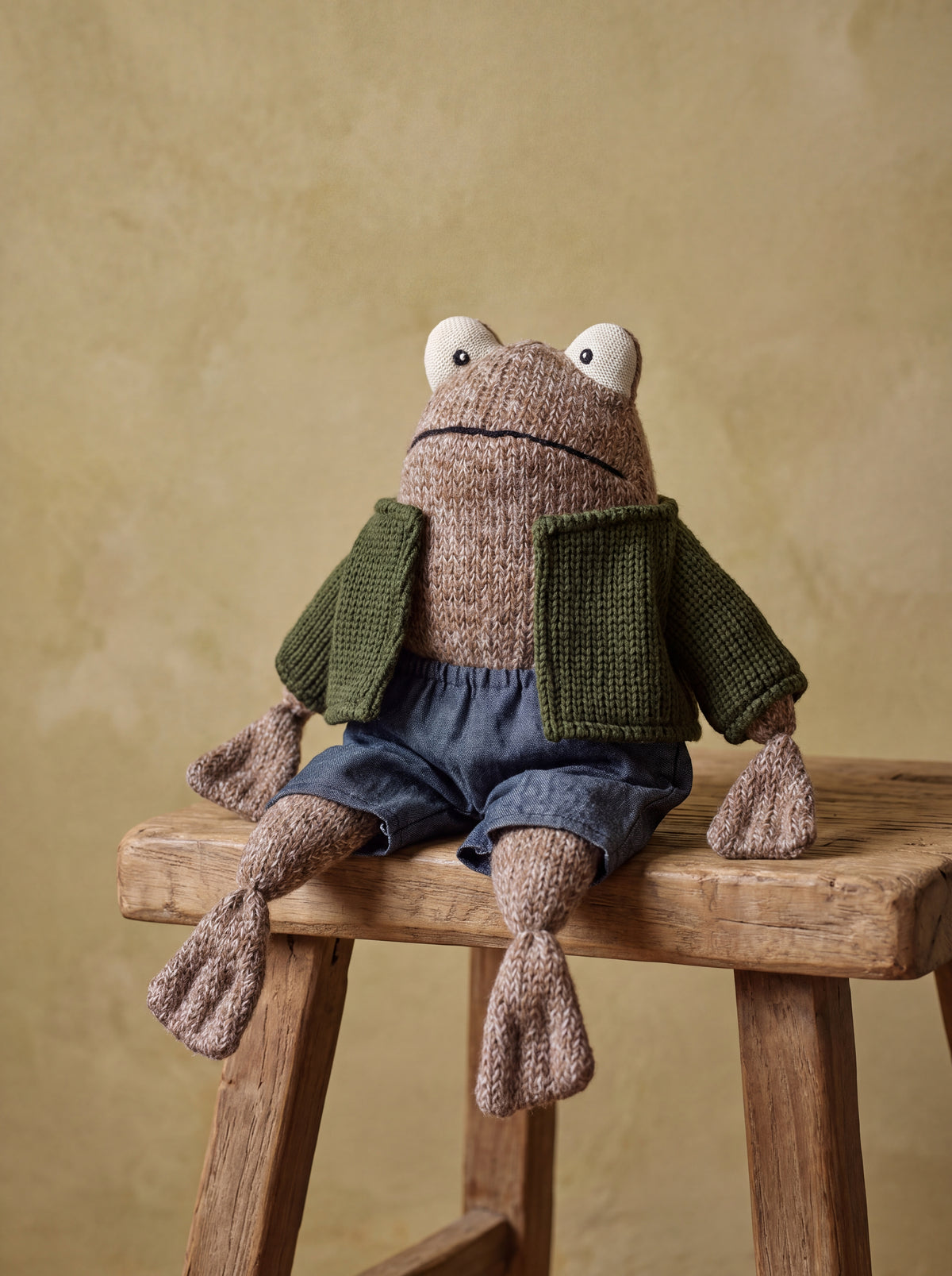 Frog in Shirt and Shorts