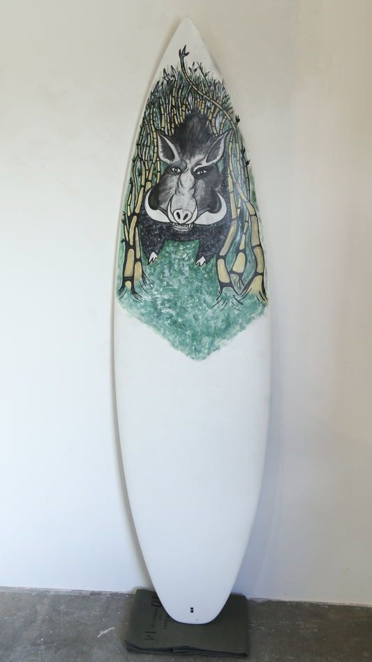 Lost surfboards / pua’a