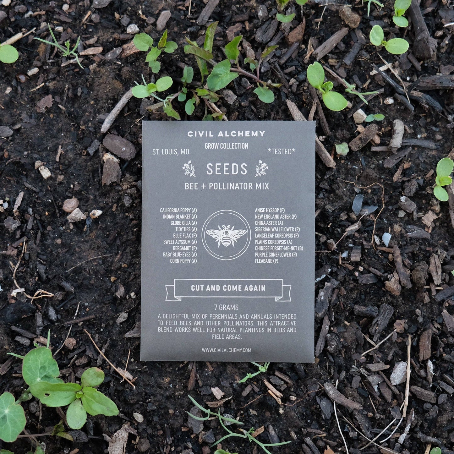 Bee & Pollinator Seed Mix