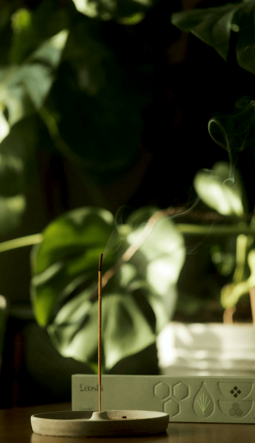 Natural Incense Sticks // Rewild