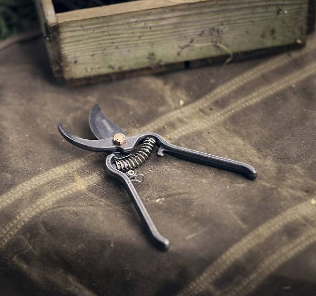 Pruner