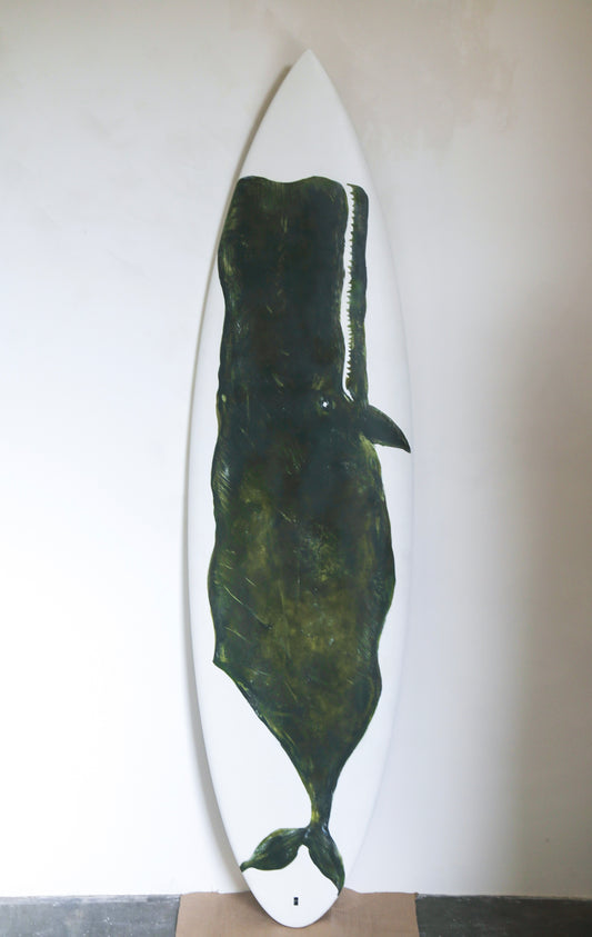 Lost surfboards / koholā