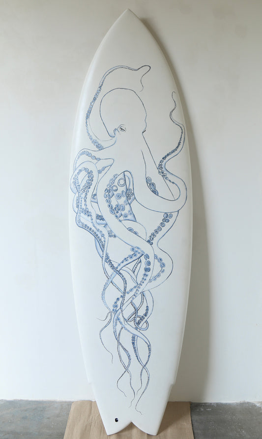 Lost surfboard / tako