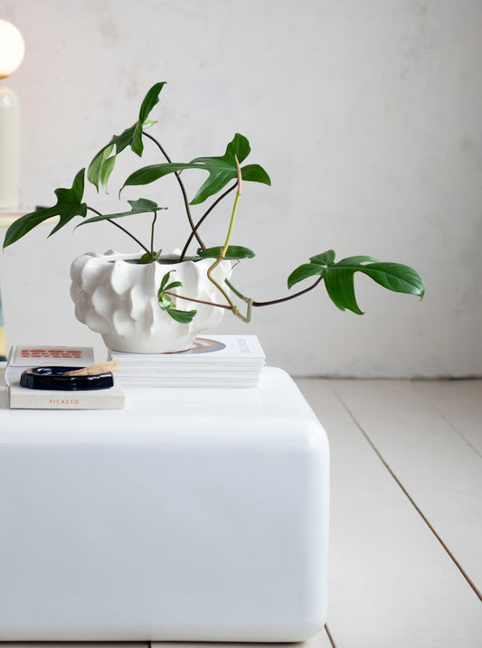 Sculptural Planter