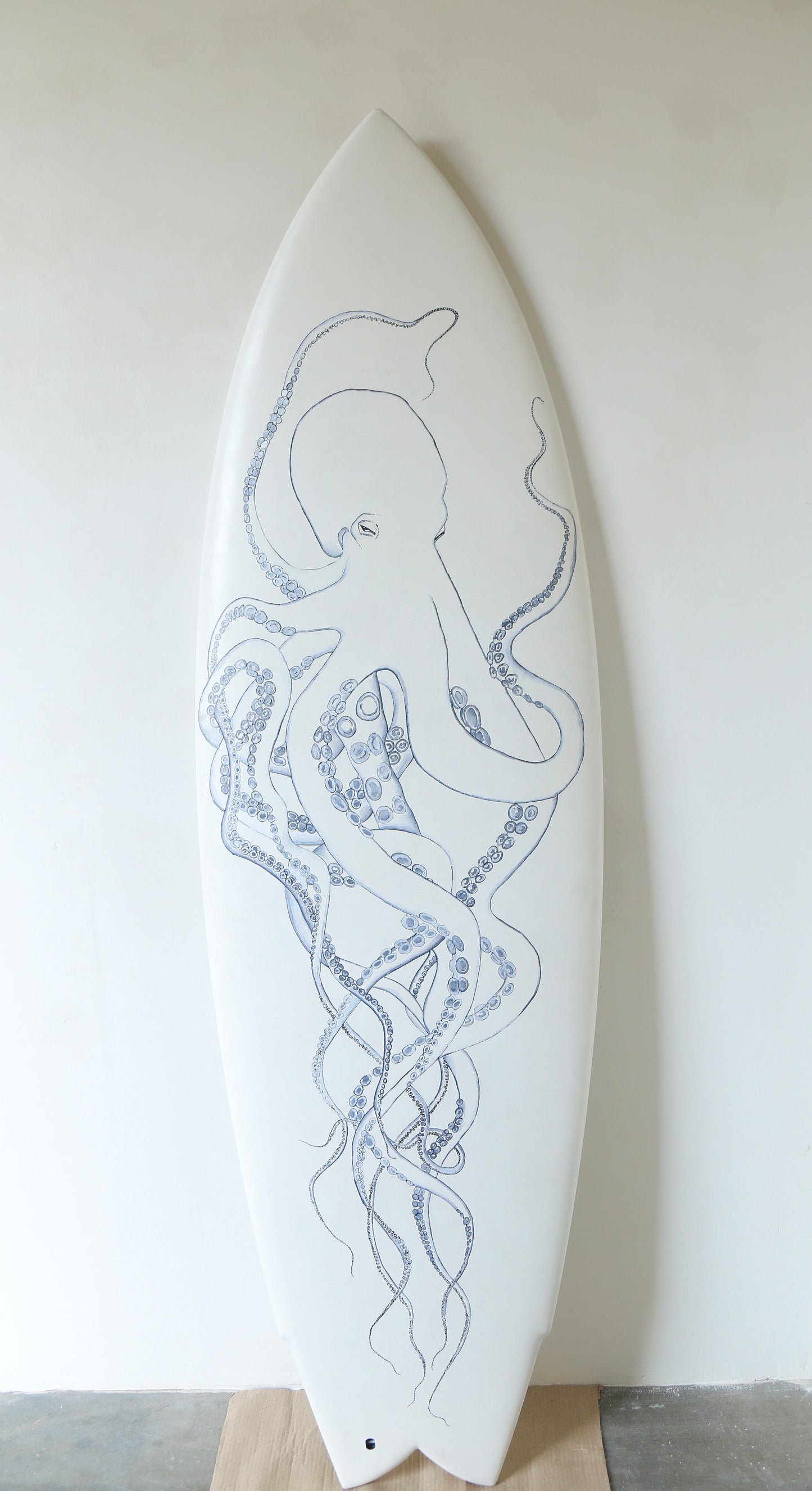 Lost surfboard / tako