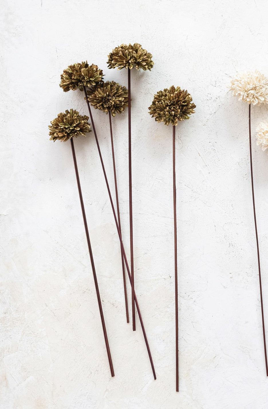 Dried Sesame Flower