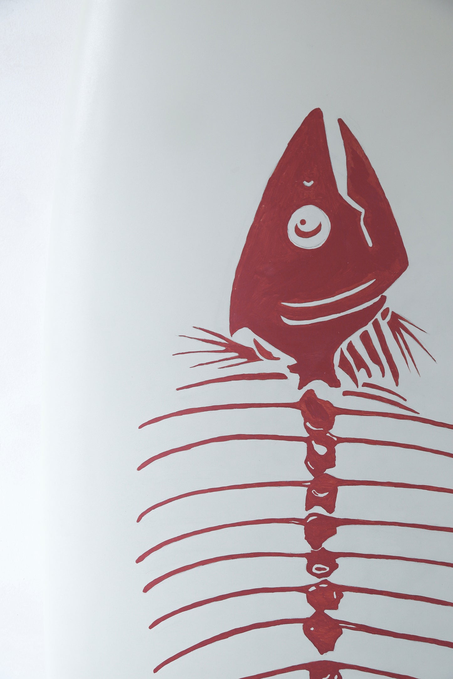 Lost surfboards / i’a