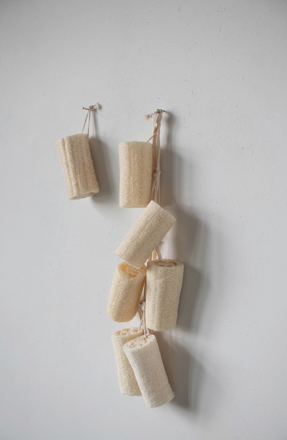 Loofa Brush