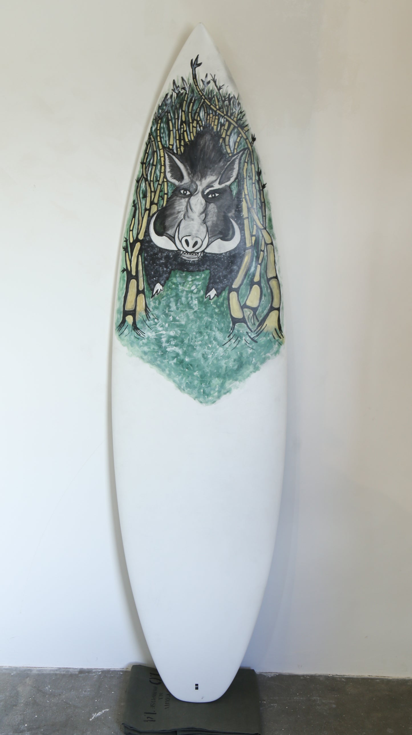 Lost surfboards / pua’a