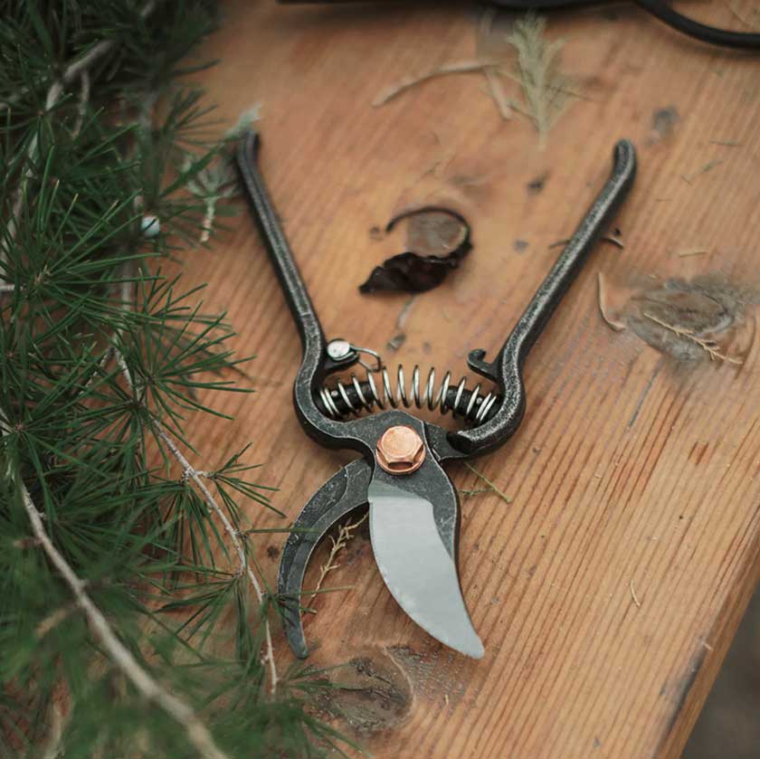 Pruner