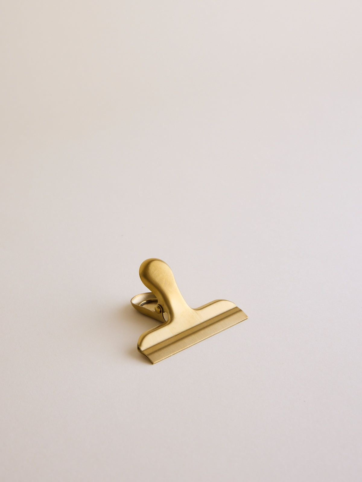 Stainless Steel Clip