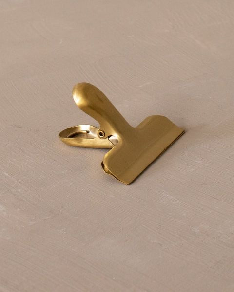 Stainless Steel Clip