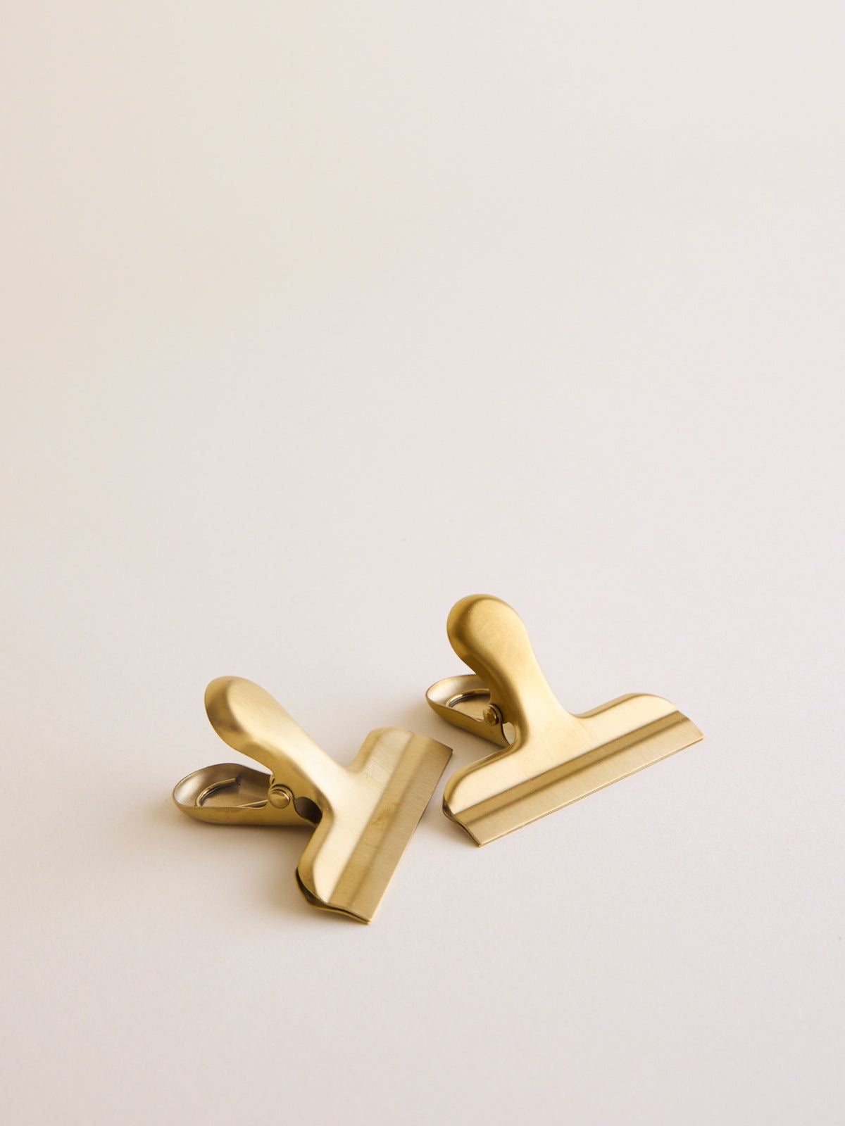 Stainless Steel Clip