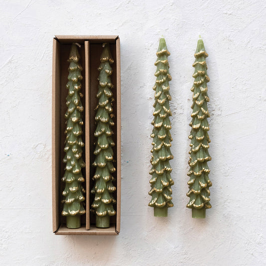 Tree Taper Candles in Box / Evergreen & Gold
