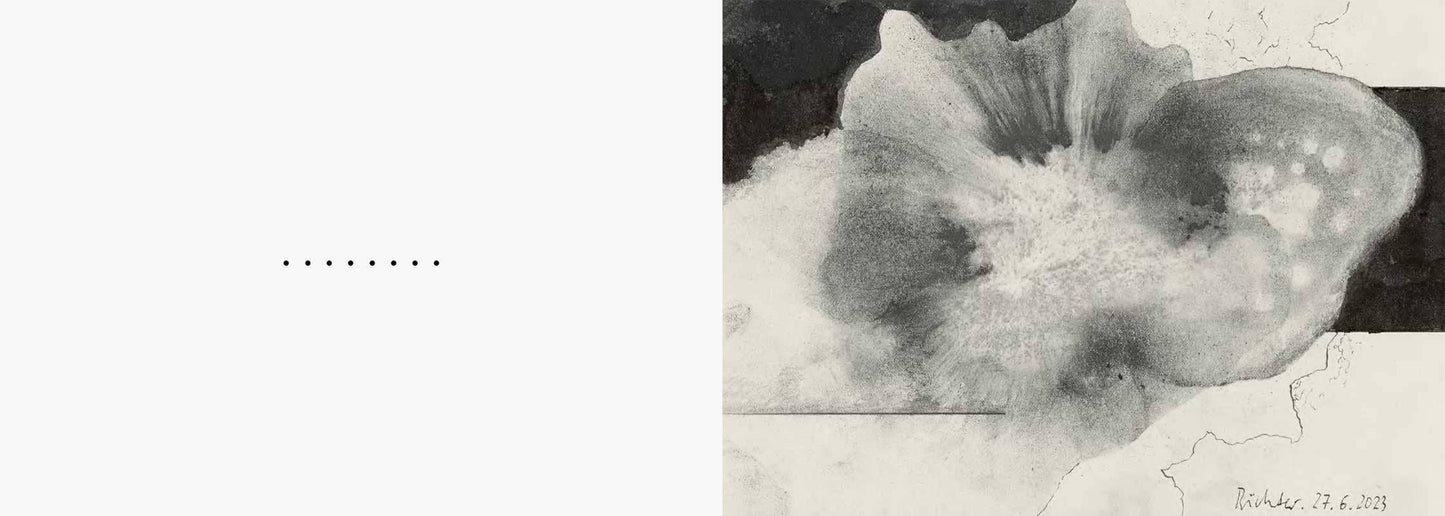 FORICANO by Gerhard Richter